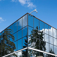 branch03